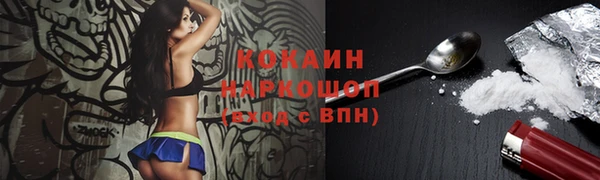 бошки Алексин