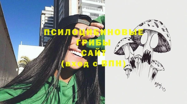 бошки Алексин