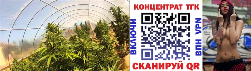 гидра ссылки  Катайск  ТГК вейп с тгк 