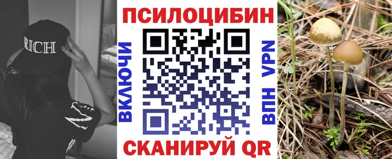 Псилоцибиновые грибы мухоморы Катайск